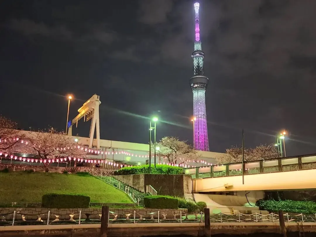 #水上から望む東京の絶景