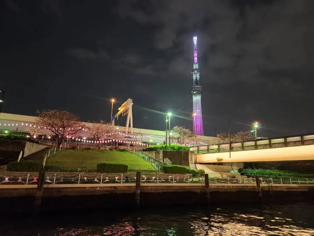 粋な和情緒と夜景！