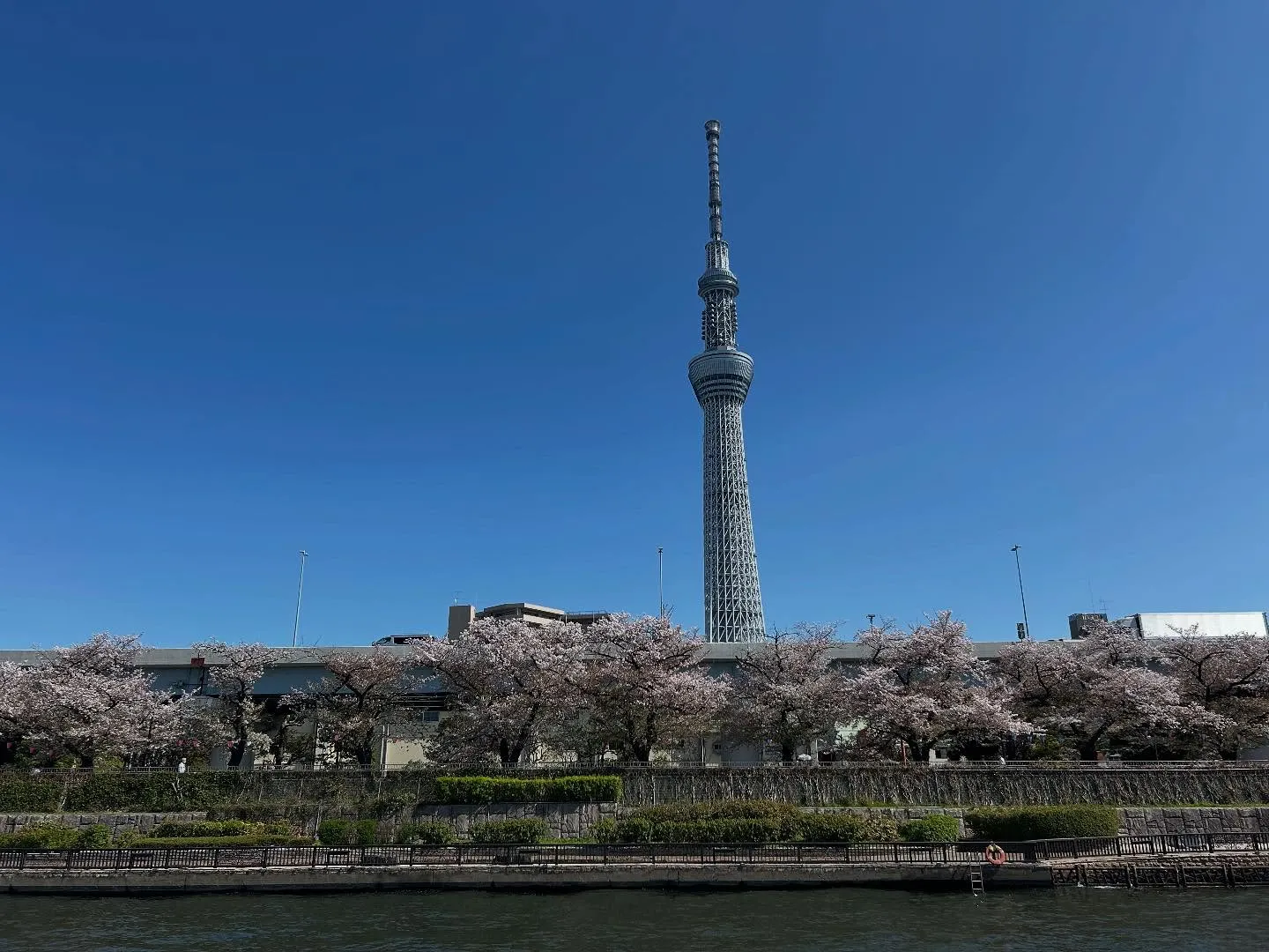 📸写真で振り返る📸