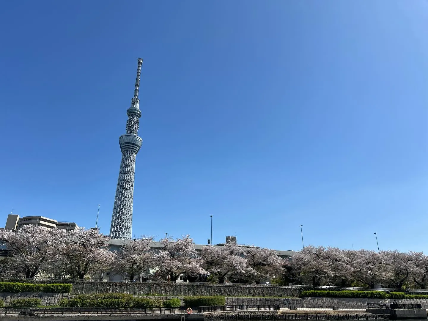 📸写真で振り返る📸