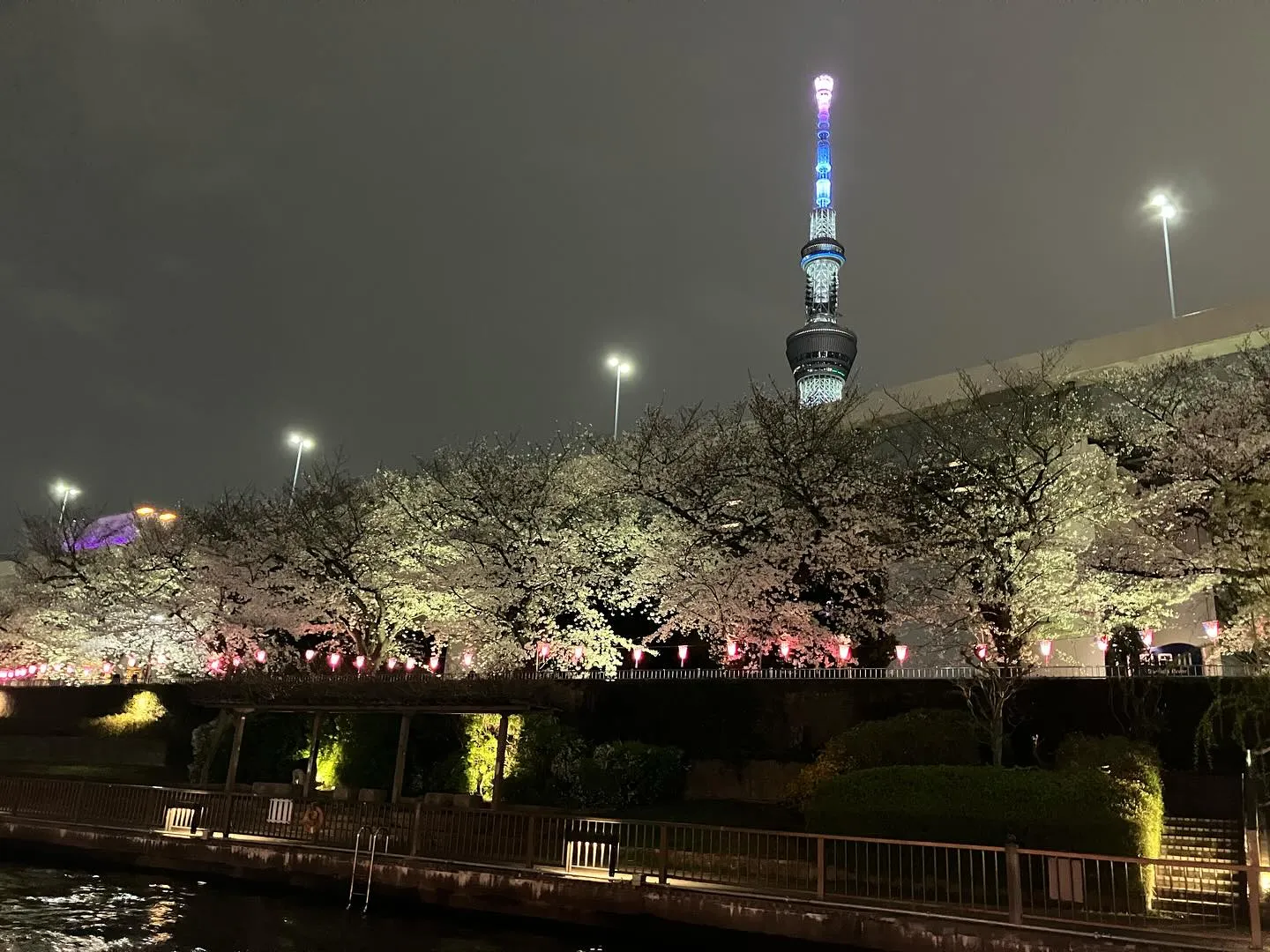 📸写真で振り返る📸