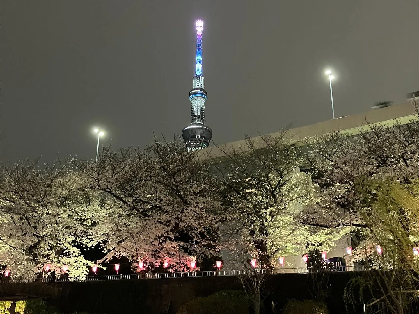 📸写真で振り返る📸