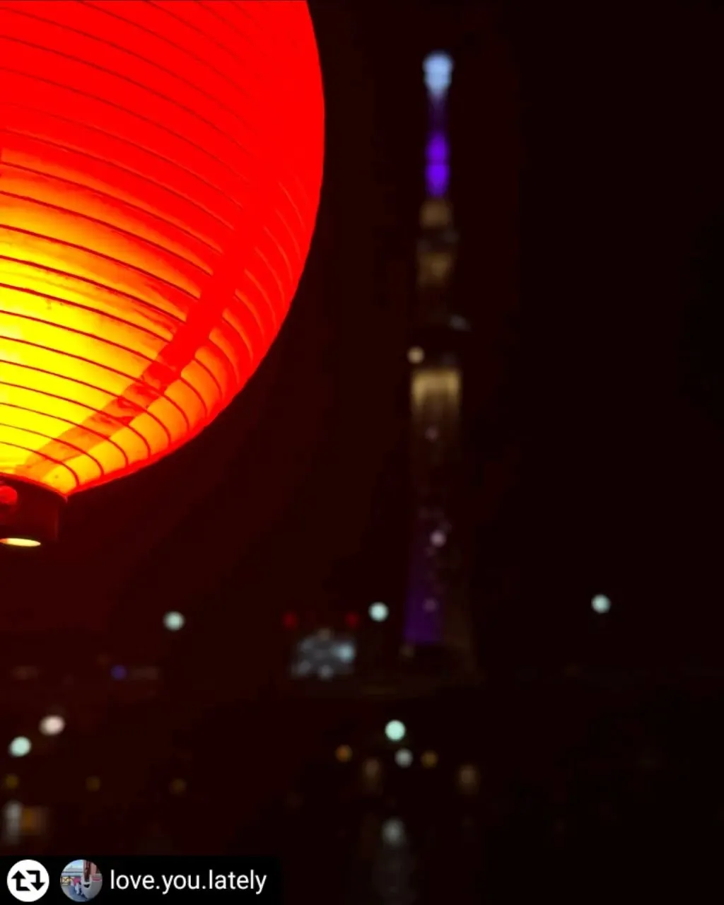 ご乗船いただき、誠にありがとうございます✨