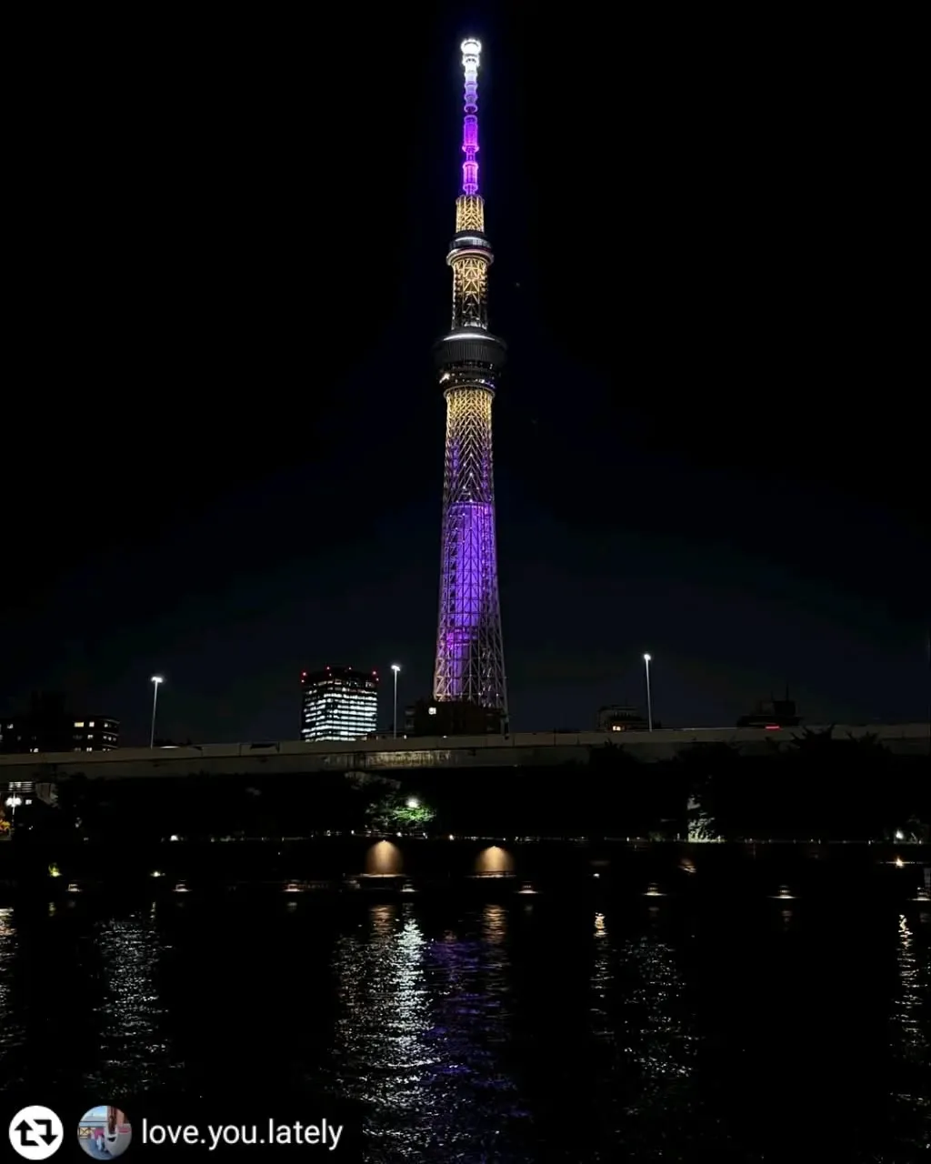 ご乗船いただき、誠にありがとうございます✨