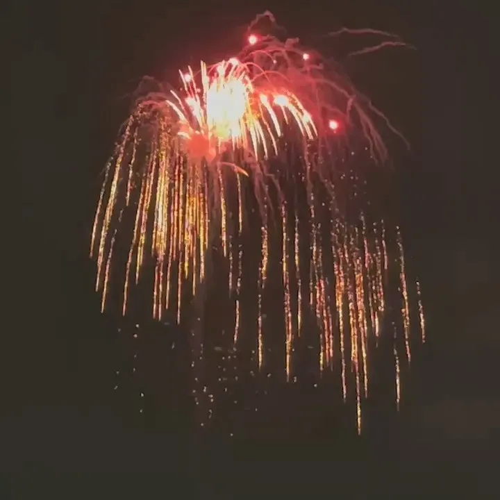 🎆足立花火大会🎆