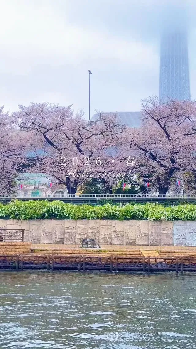 2026 東京・春