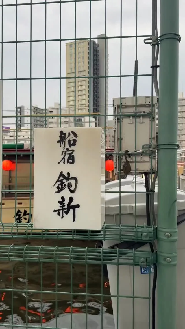 🏮2026初夏限定 